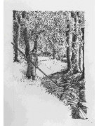 Schwarz-Weiß-Skizze eines Waldgebiets mit hohen Bäumen. Eine Person steht am Rande eines gewundenen Baches und hält eine lange Stange. Das Sonnenlicht fällt durch das Laub und wirft Schatten auf den Boden und das Wasser. Die Szene wirkt ruhig und natürlic