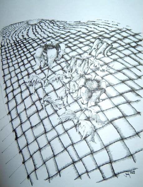 Eine schwarze Tuschezeichnung zeigt Blumen, die aus einer verzogenen, gitterartigen Oberfläche hervorgehen. Das Gitter krümmt sich um die Blumen, wodurch ein Gefühl der Verzerrung und Tiefe entsteht. Die Blumen haben weiche Blütenblätter und komplizierte Schattierungen, die im Kontrast zu den scharfen Linien des Gitters stehen.